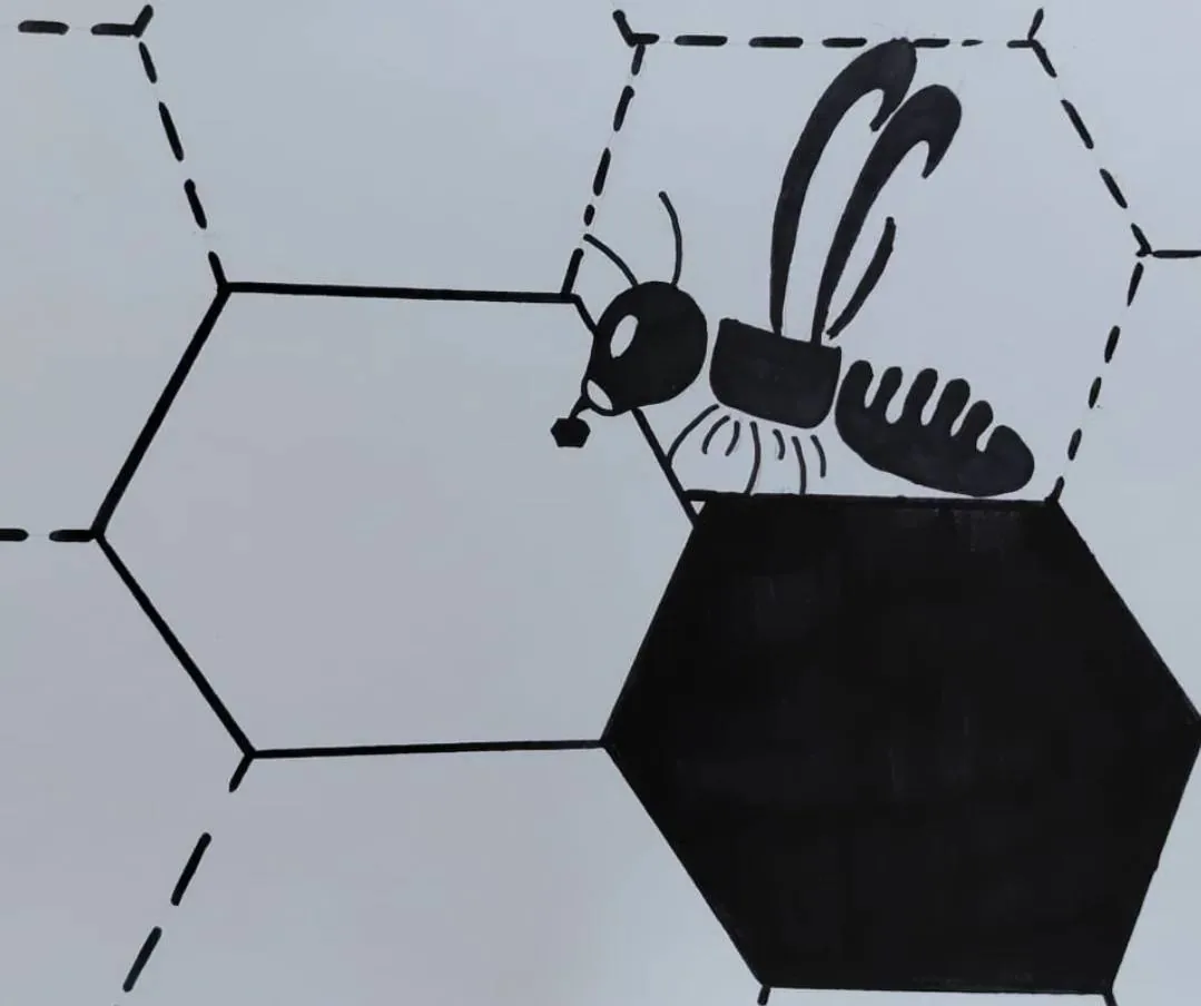 Med zraje v zavíčkované plástvi v úlu – ilustrace